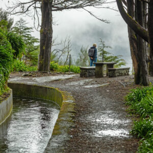 Full day Madeira island guided levada walk